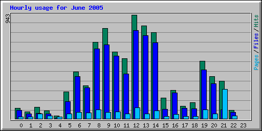 Hourly usage for June 2005
