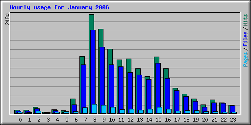 Hourly usage for January 2006